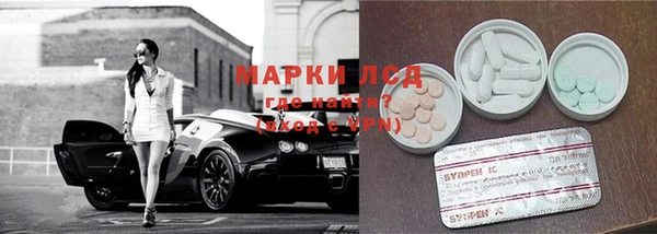 дмт Алзамай