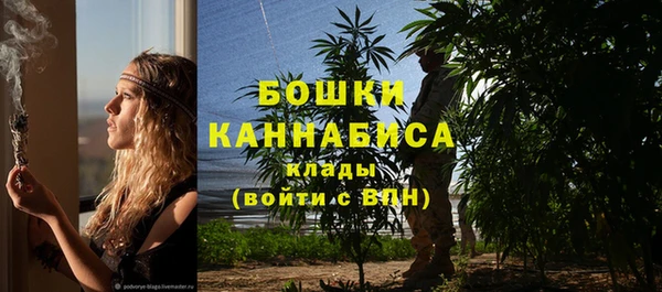 ALPHA PVP Алексин