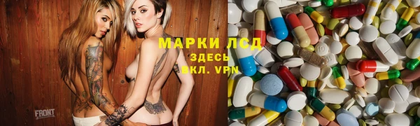 дмт Алзамай